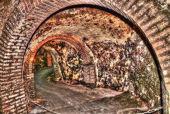 Enoturismo Ribera del Duero